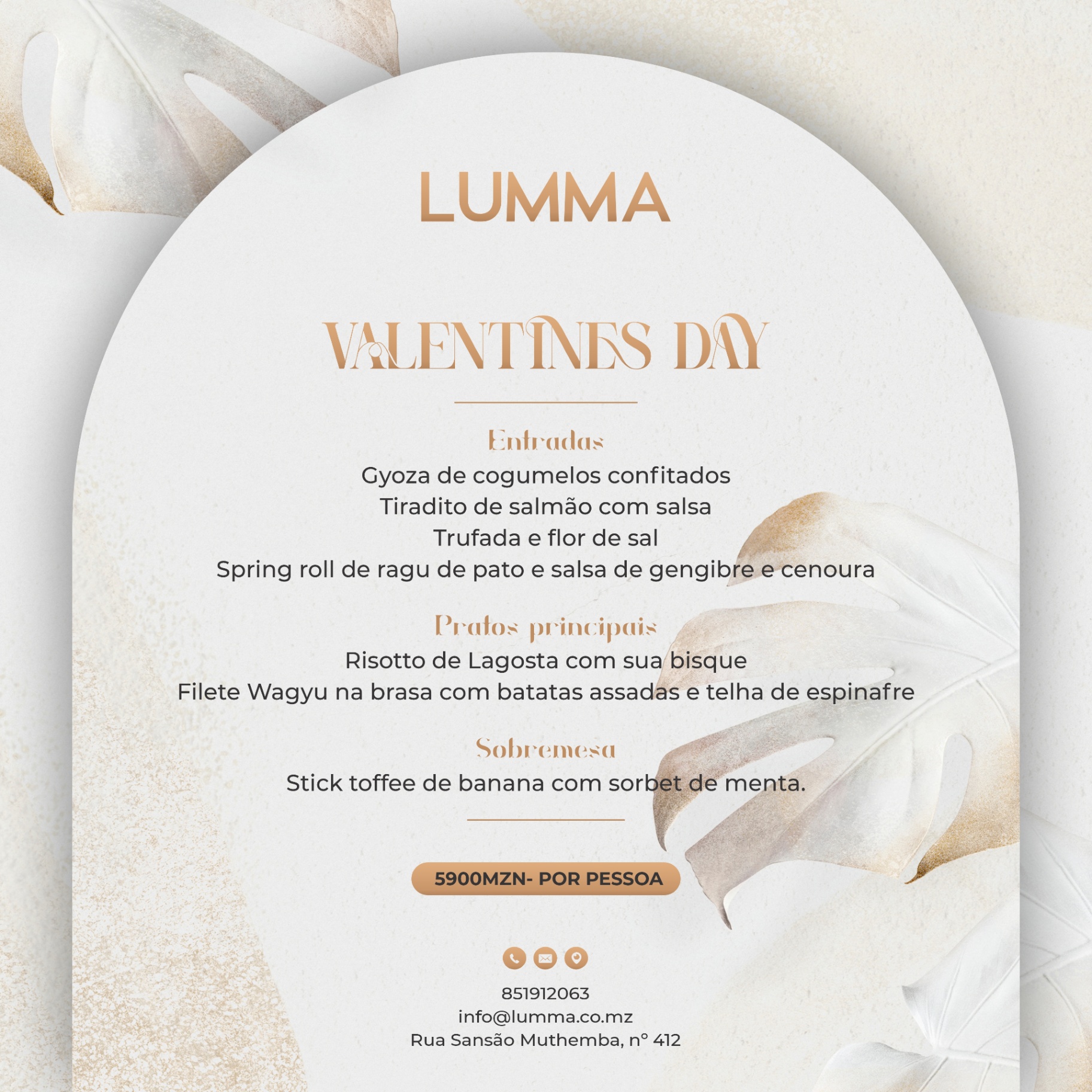 Projecto LUMMA